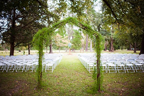 18" Floral Wire (18 Gauge) - 100 Pieces - Diy - Wedding, Prom, Corsage, Flower Arrangement, Boutonniere, Craft - Florist Stem Wire #TOP7