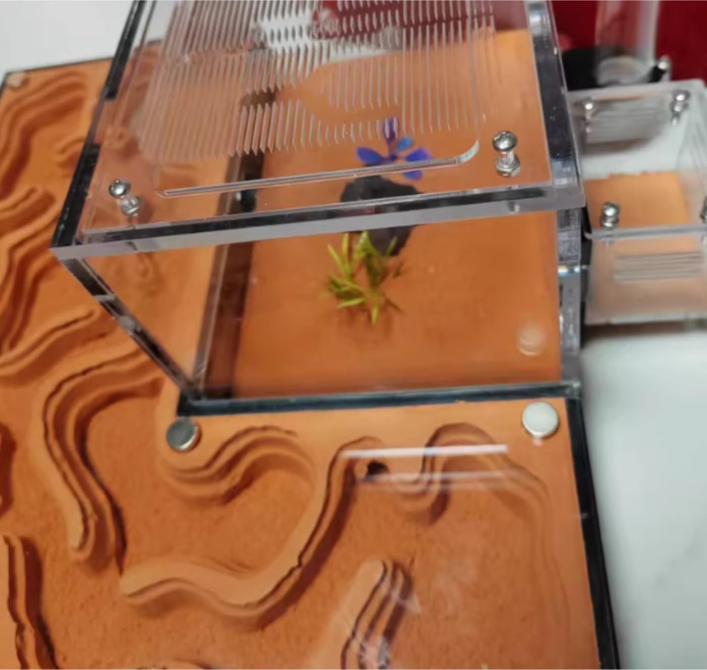 Stereoskopische Acrylbeobachtung Nest Acryl Ameisen Ökologisches Nest Insektenhaus Set Ameisenkönigin Zuchtschloss Ökologische Haustier Ameisenzuchtbox Studie über das Verhalten von Kolonien