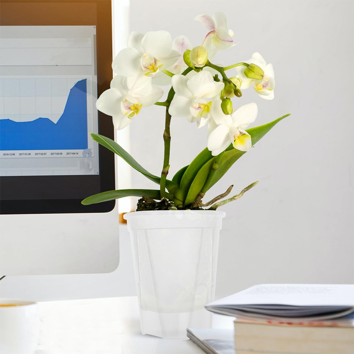5 Stück Teiliges Selbstbewässerungs blumentopf Transparentem mit Integriertem Bewässerungssystem Geeignet für Orchideen und Zimmerpflanzen Automatische Wasserzufuhr für Einer