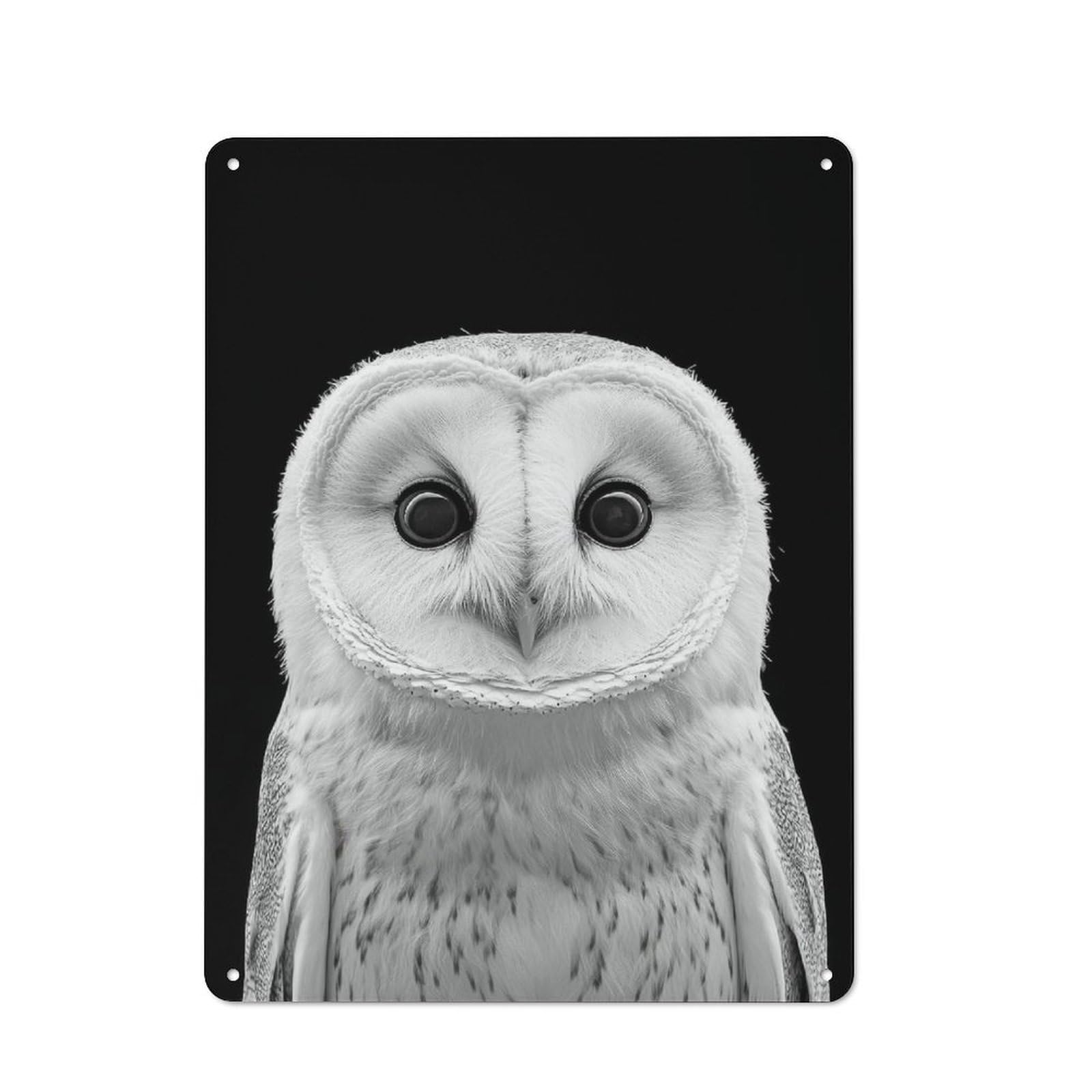 Junmoney Style-19 Kitchen Metal Sign With White Barn Owl Portrait Photo Design 40X30cm, Cosy Kitchen Wall Decor For Coffee Bar, Kitchen, Bistro Or Tea Corner