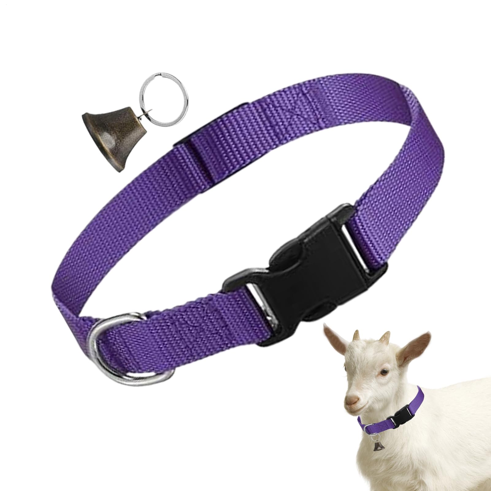 Collier Ajustable Pour Chèvre Et Mouton - Équipement Ferme Pour Pâturage, Dressage Et Transport Du Petit Bétail - 5