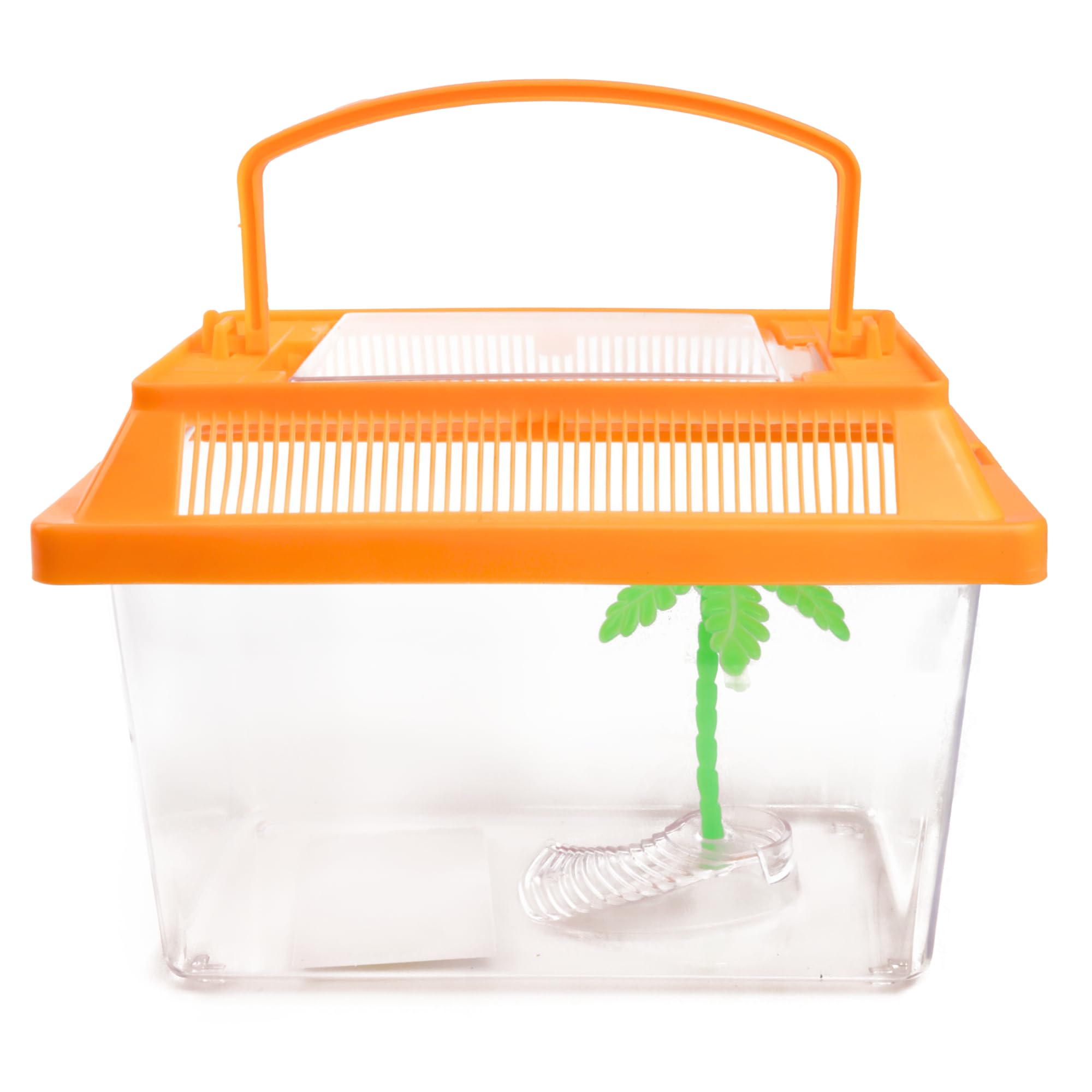 Needzo Mini Neon Plastic Reptile Carrier, Small Terrariums for Hermit Crabs, Lizards, and More with Palm Tree Accessory, Crab Hunting Supplies, Color May Vary, 7 Inches