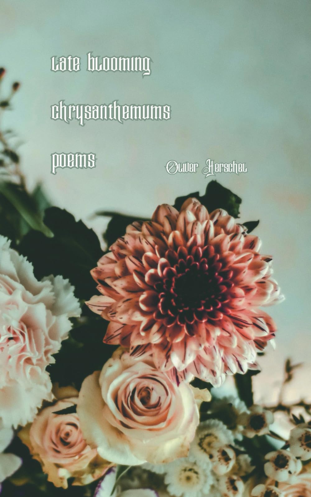 Late Blooming Chrysanthemums: Poems