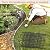 45ft X 13in Animal Barrier Fence, 32 Panels No Dig Fence for Dogs Rabbit, Anti Digging Defense Barrier Garden Edging Border, Rustproof Metal Arched Decorative Garden Fencing for Outdoor, Yard, Lawn