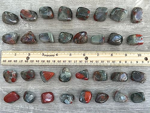 Image of GAF TREASURES 1 /2 LB African Bloodstone Tumbled Stones, Polished African Bloodstone Gemstone, African Bloodstone Healing Crystals (African Bloodstone)
