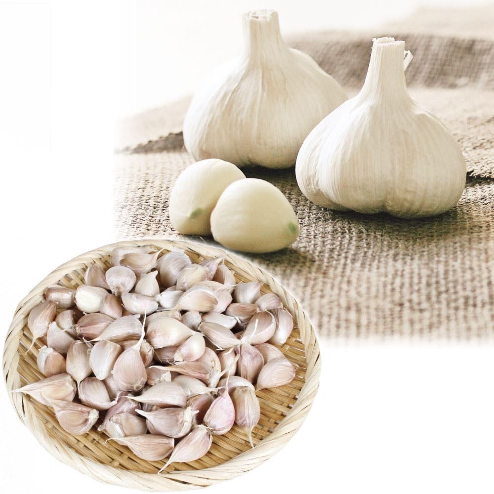 Amazon | 国華園 ニンニク 種球 ホワイト六片 バラ (青森産) 500g 特価
