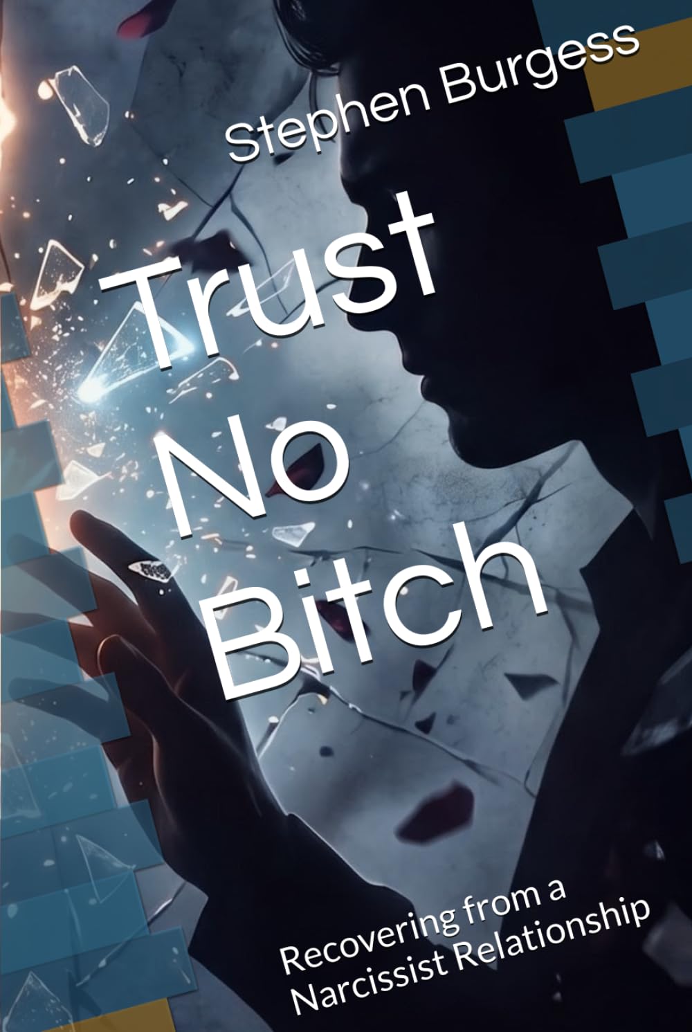 Trust No Bitch: Recovering from a Narcissist Relationship (Afflictions Of The Heart)