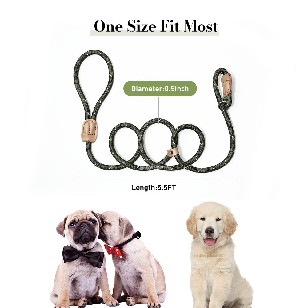 Awpland Reflective Dog Leash Slip Lead, 5.5ft Long Dog Leads for Training, Heavy Duty Nylon Dog Leash with Snap Hook, Waterproof Dog Leash for Walking, Running, Hiking, Camping