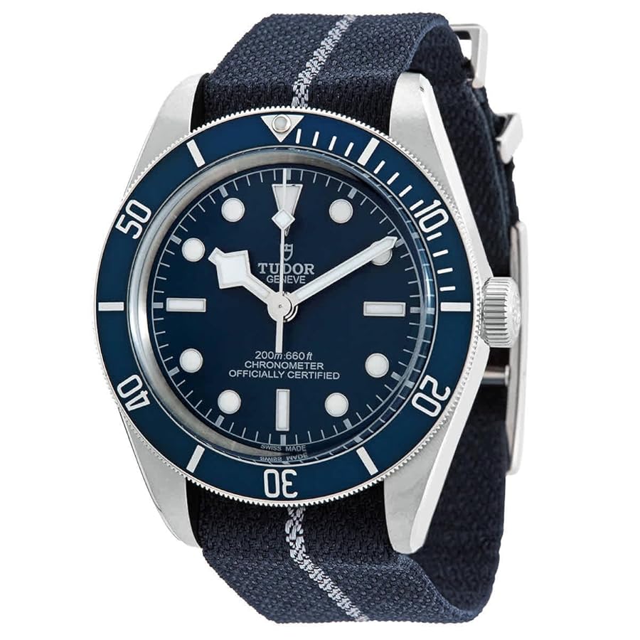 TUDORブラックベイ58.79030B自動巻き、稼働品 安心堂浜松店公式ブログ 【TUDOR】チューダー 穏やかな金色に