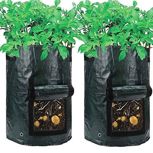 Amgate 2 Pack 10 Gallon Garden Potato Grow Bag Vegetables Growing Planter Tub with Handle Access Flap for Harvesting Vegetables: Potato, Carrot, Tomato, Onion