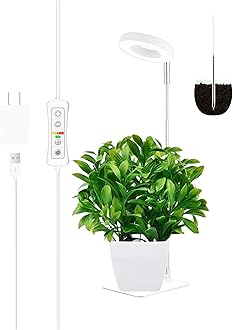 Halo Plant Grow Light, LED Growing Light Full Spectrum for Indoor Plants,Height Adjustable, Automatic Timer, 5V Low Safe Voltage,Idea for Small Plants