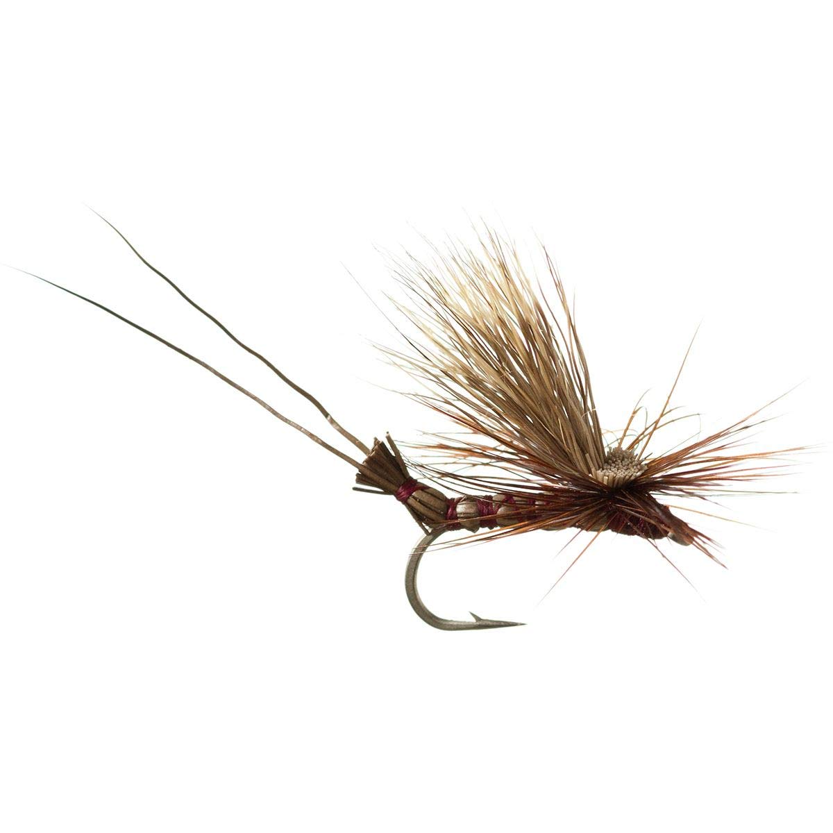 Montana Fly Company Galloup's Brown Drake - 12 Pack, Brown, #12