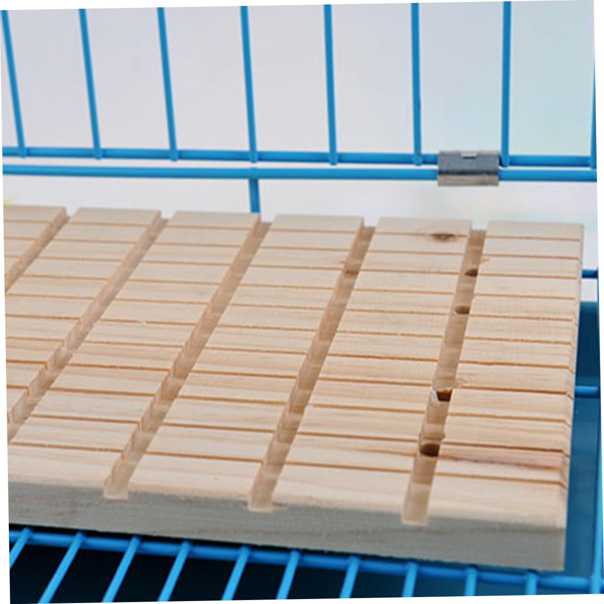 Tavoletta in Legno per Piccoli Animali Piastra per Mantenimento Unghie Conigli Criceti e Porcellini d Materiale Durevole e Facile da Pulire Protezione Piedi e Unghie