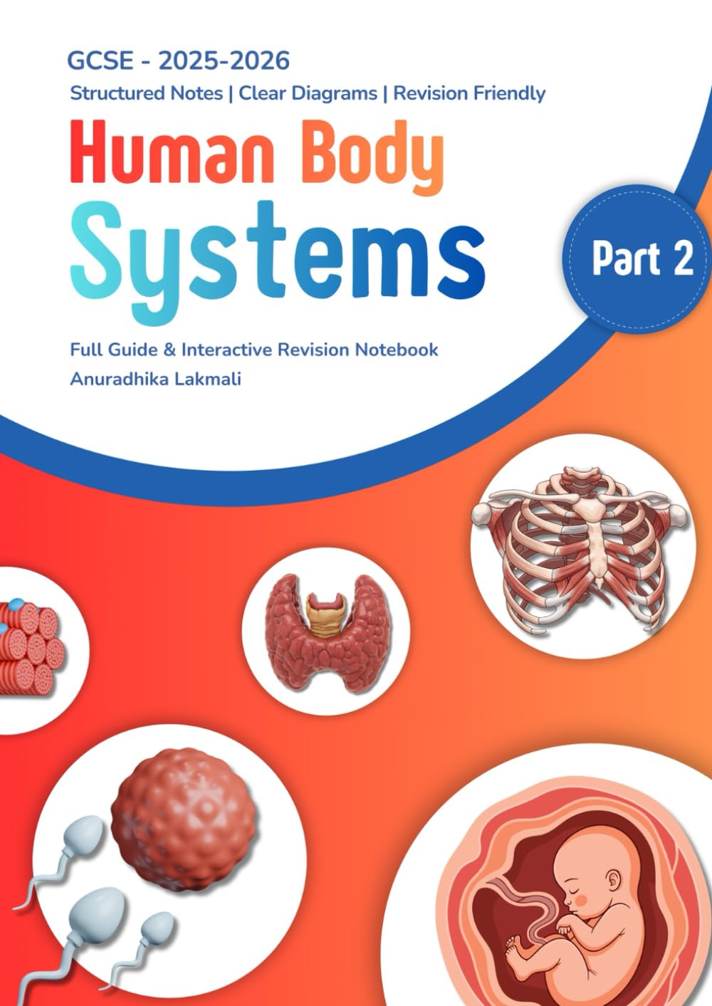 Human Body Systems Part 2: GCSE Biology - Human Physiology revision notes: A Visual, Interactive & Exam-Focused Revision Guide for GCSE / IGCSE Biology Students