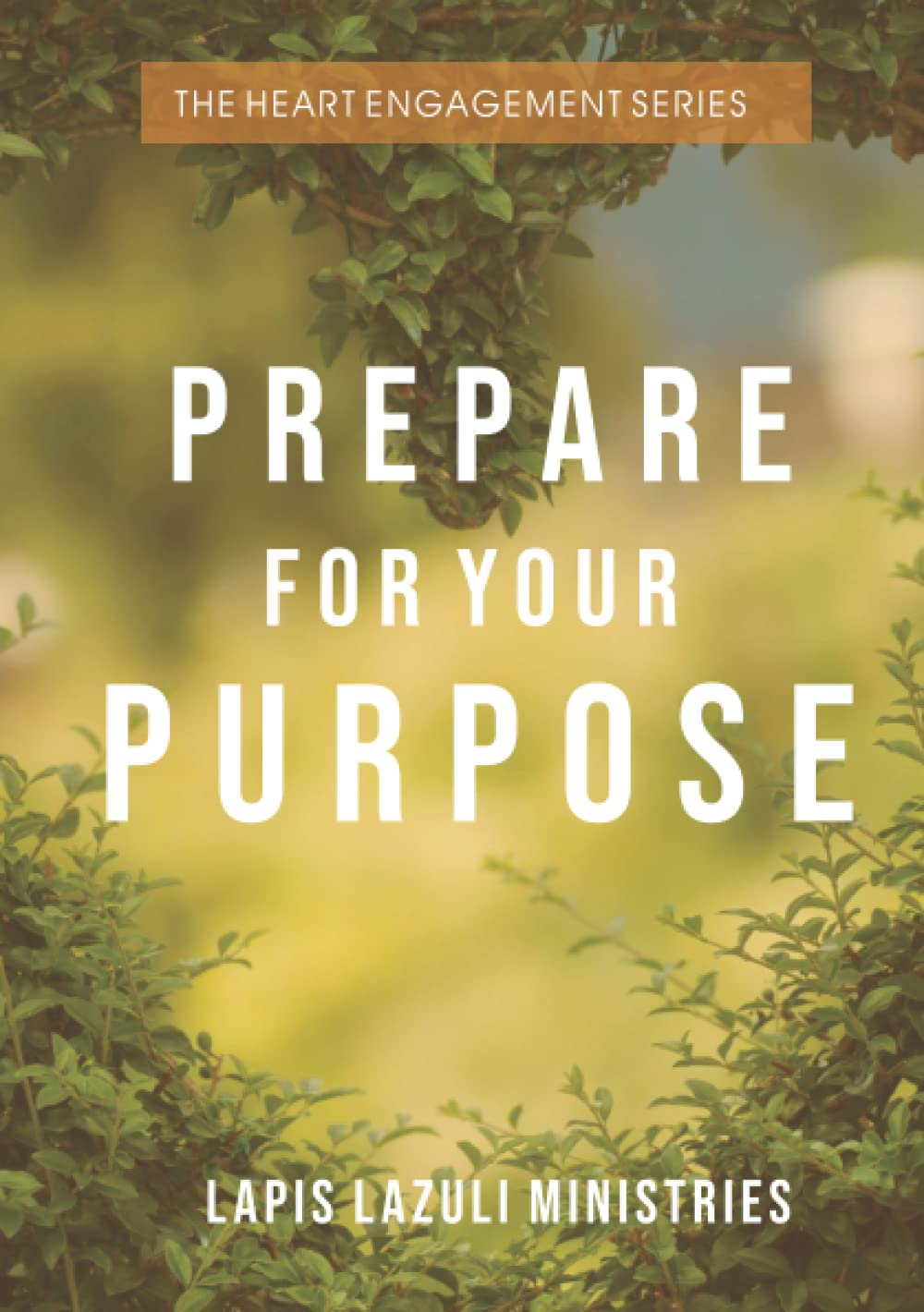 The Heart Engagement Series: Prepare for your Purpose
