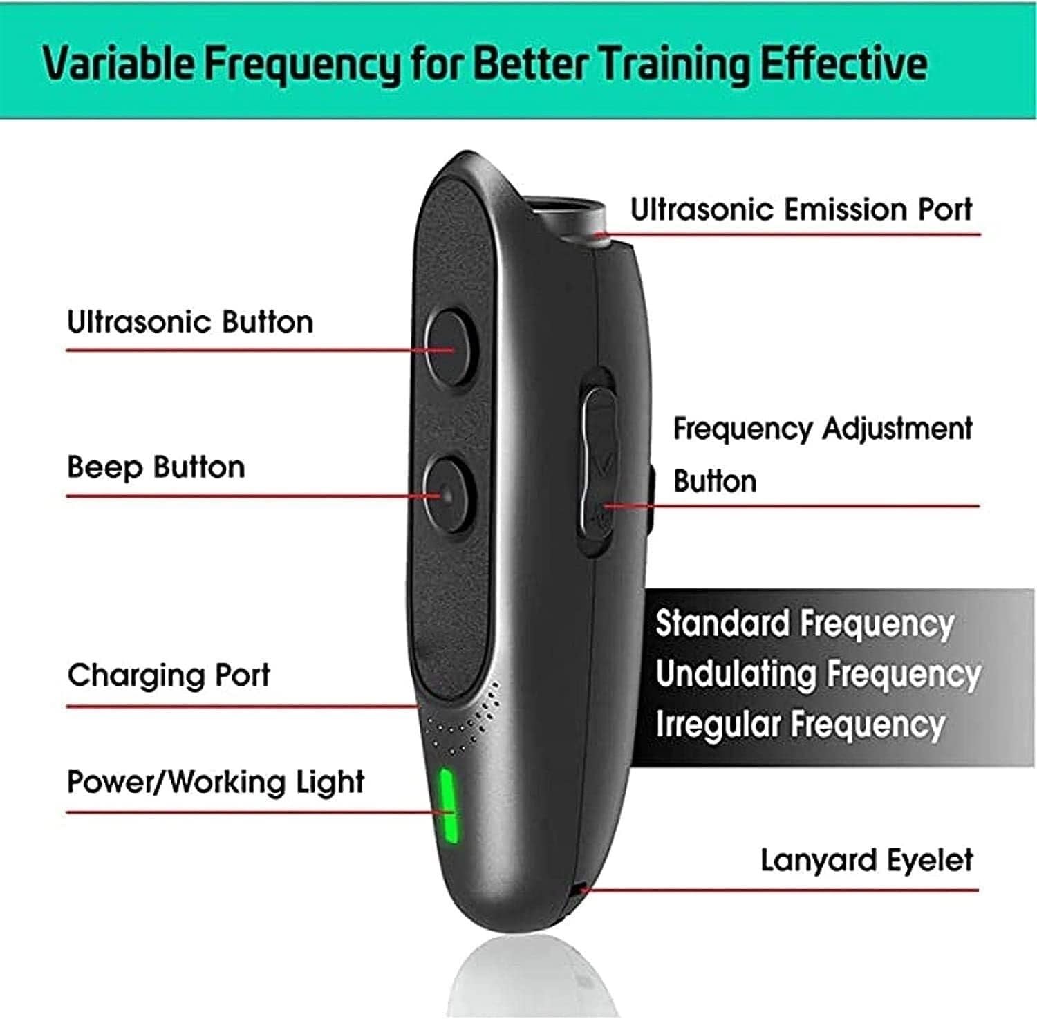 Dispositif Anti-aboiements, Dispositif ultrasonique à fréquence Variable, 2 en 1 Rechargeable, Outil de Dressage portatif for Chiens