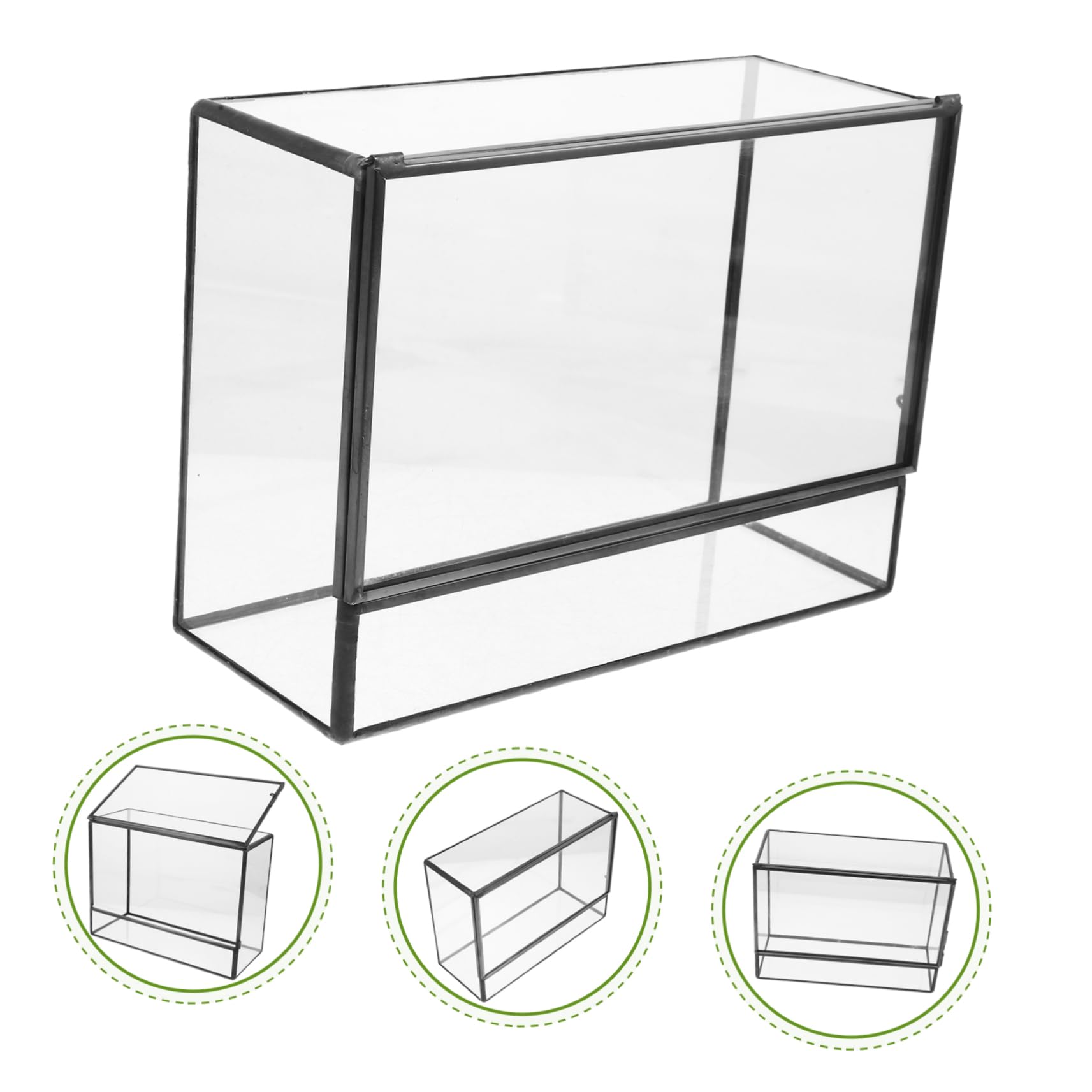 Terrario Pequeño Geométrico de Vidrio para Plantas | Recipiente Decorativo de Estaño, Cuerpo Transparente, Fácil de Limpiar, Adecuado para Musgo y Bricolaje