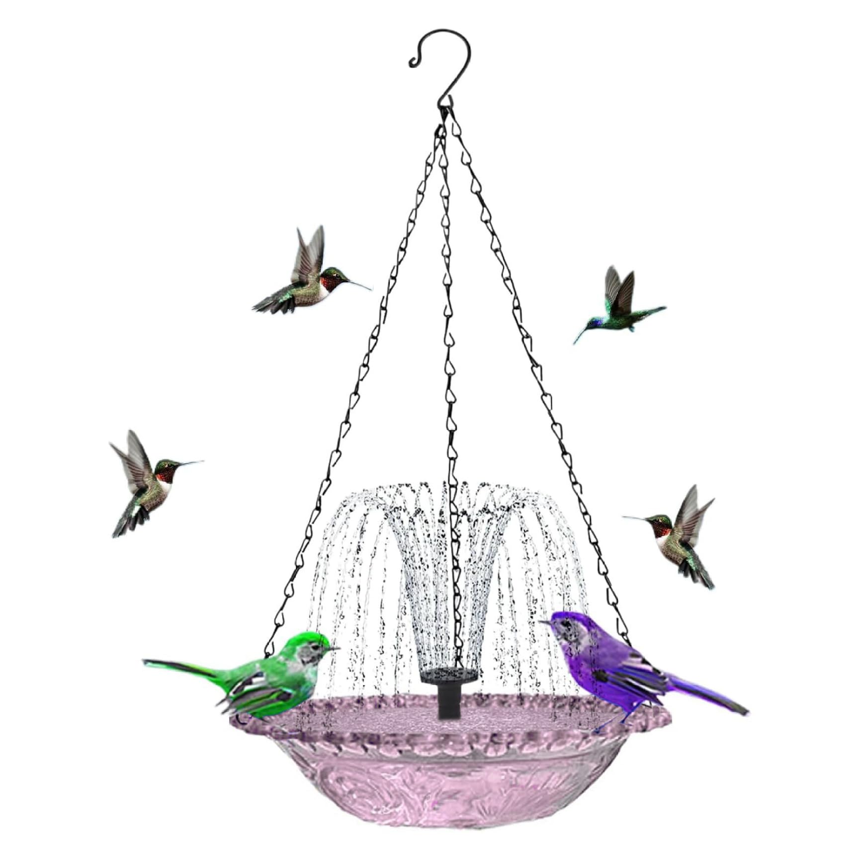 Fontaine solaire pour bain d'oiseaux et bassin suspendu violet avec fontaine flottante
