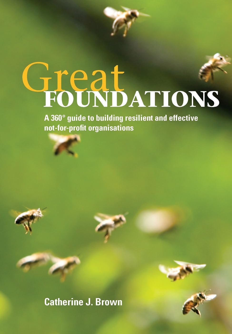 Buy Great Foundations: A 360 Degree Guide to Building Resilient and Effective Not-For-Profit Organisations — BookShops.in