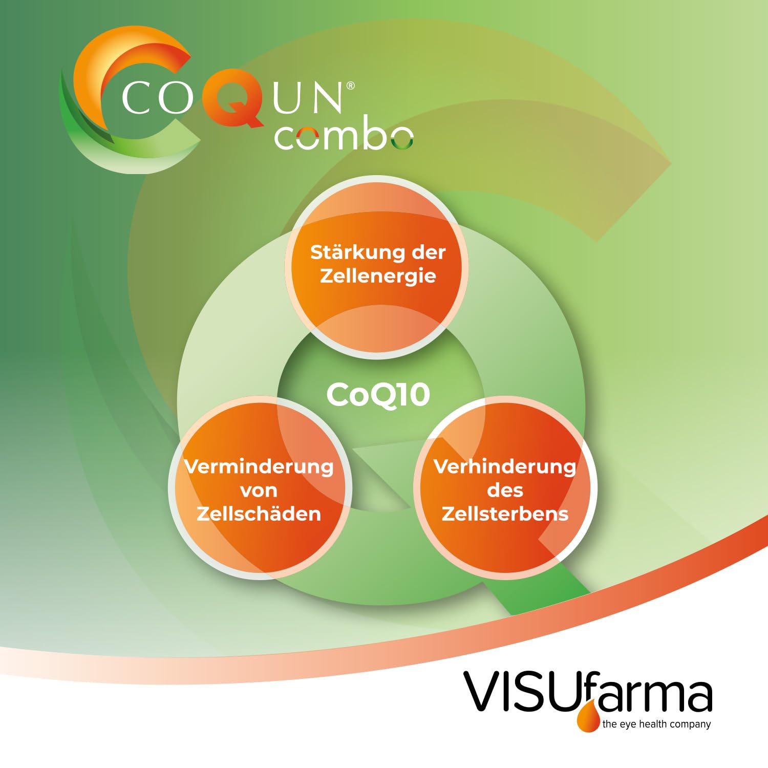 Combo – Coenzym Q10 & Citicolin für Sehnerv & Netzhaut | 60 Tabletten | einzigartige Wirkstoff-Kombination | Ergänzung zu einer bestehenden Glaukomtherapie