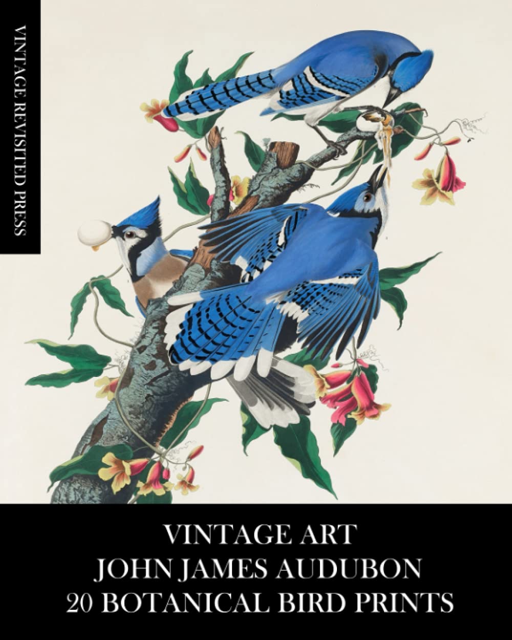 Vintage Art: John James Audubon: 20 Botanical Bird Prints: Ephemera for Framing, Collage, Decoupage, Mixed Media and Junk Journals