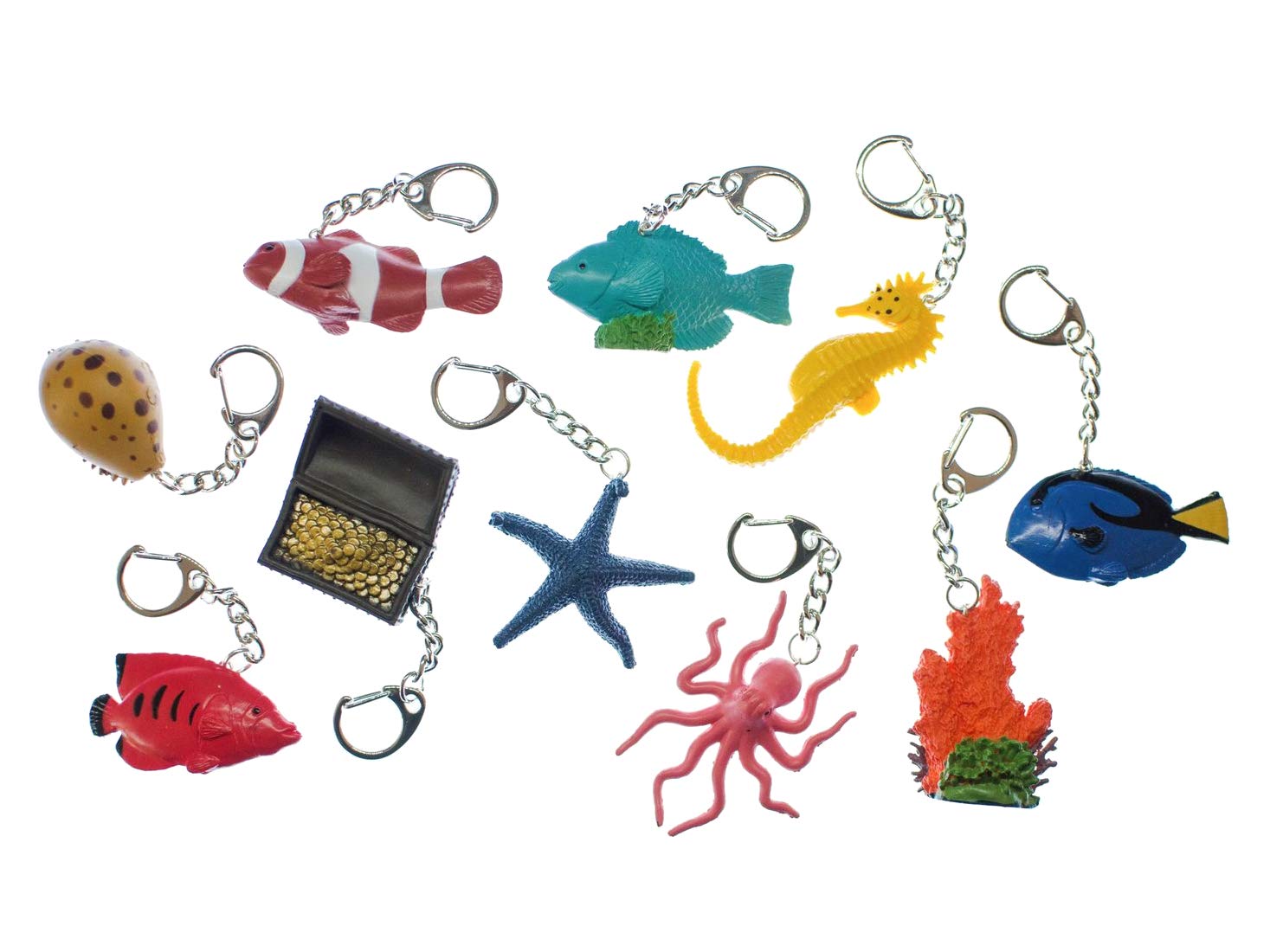 Photo Libre De Droit De Étoile De Mer Et Coquillage Sur La Plage De