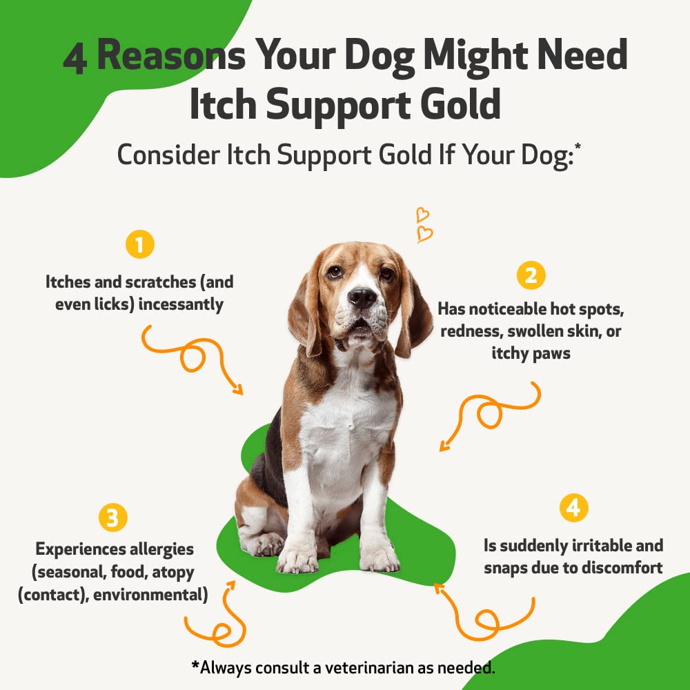 Why Does My Dog Shake His Leg When I Scratch