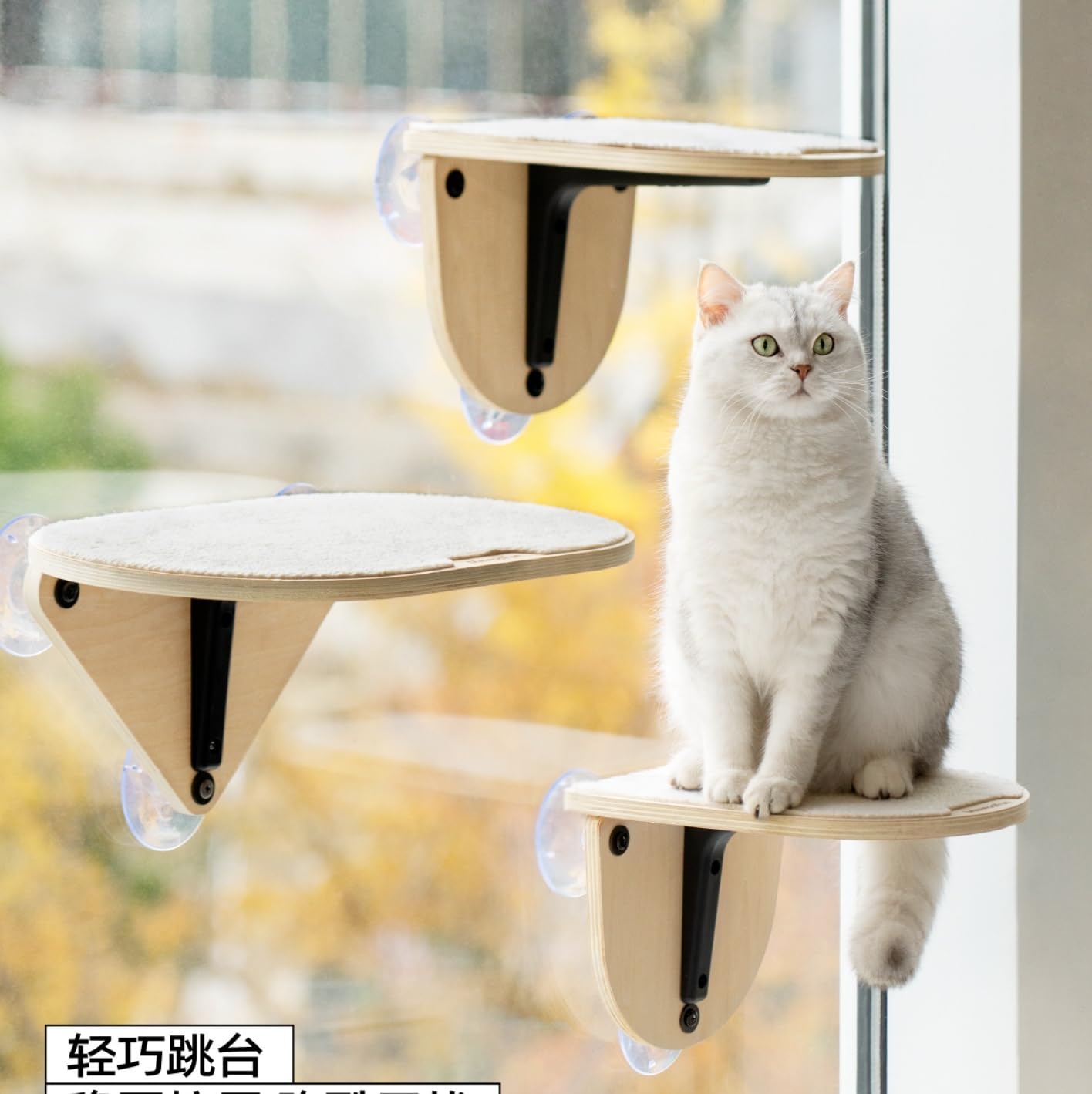 Amazon.co.jp: キャットステップ 窓用 吸盤 猫 ベット ハンモック 爪 