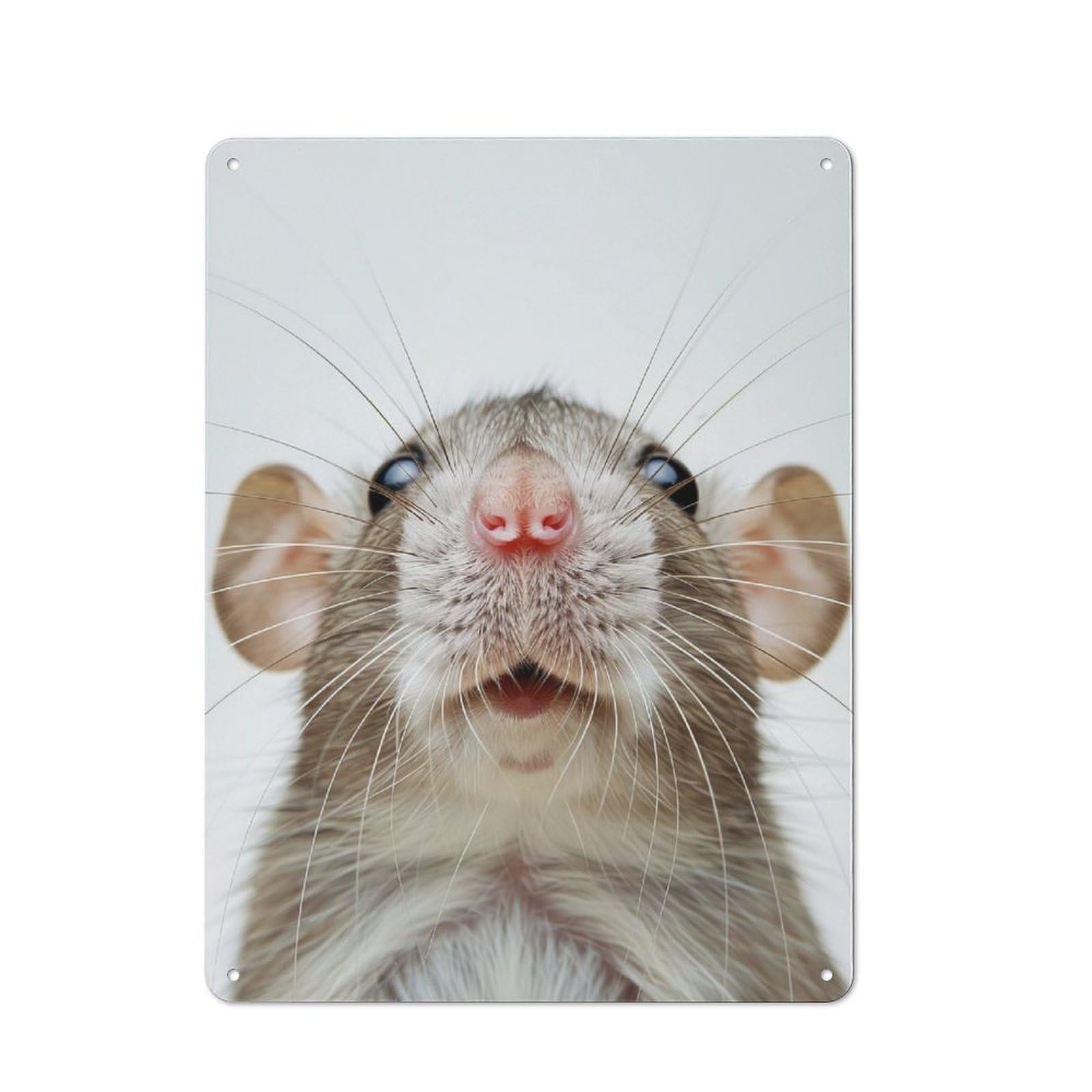 Rat Face Cottage Style Metal Wall Decor 40x30cm, Farmhouse Metal Sign for Kitchen, Cottage, Porch Or Garden Room