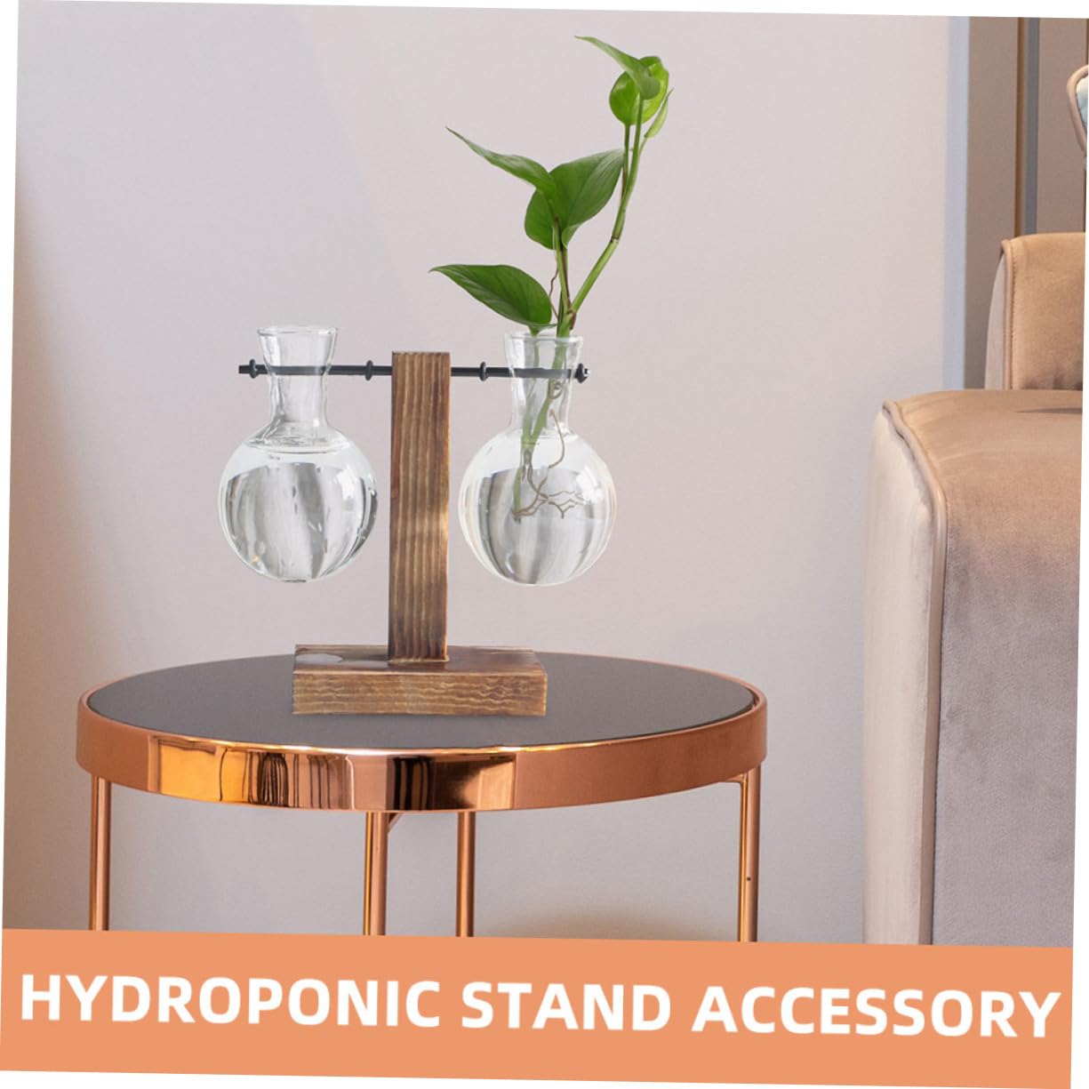 POPETPOP 6 STK Holzvase blumentopf Blumenvase Garten Vase Luftpflanzen Vase Glaswaren Wasserpflanzer Pflanzen Terrarium Terrarienpflanzen Zwiebelvase Glas mit hohem Borosilikatgehalt