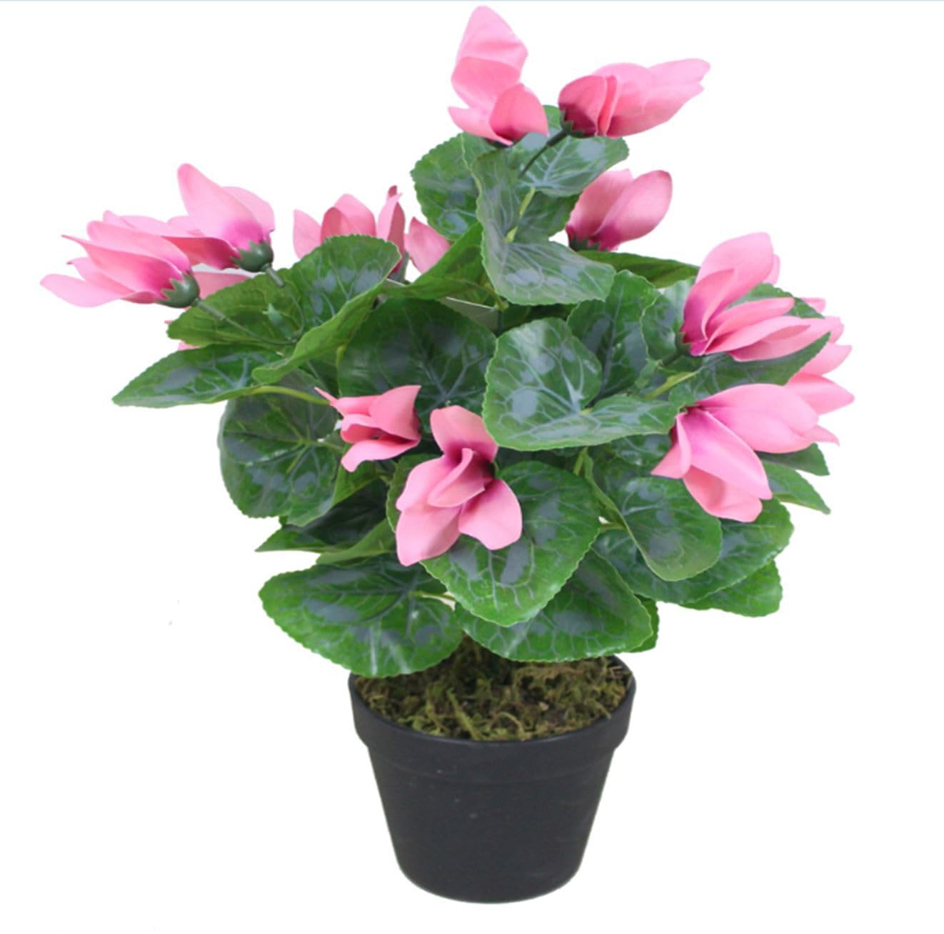 Leaf Artificial Cylamen Plant Pink - 38cm - Plastic Pot