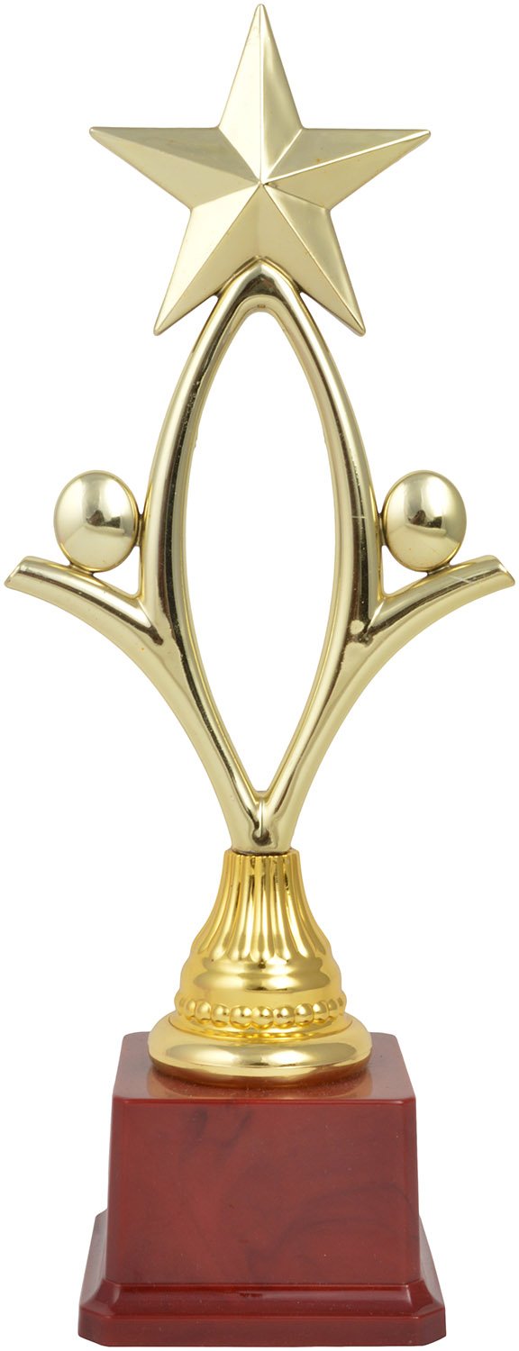 EV Star Trophy S-picture-14