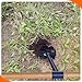 Leriton Hand Auger Post Hole Digger 6