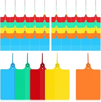 SHERCHPRY 100 Pcs Plastic Shipping Tags with Strings Blank Price Labels for Logistics Warehousing Express Packaging Hanging Tags