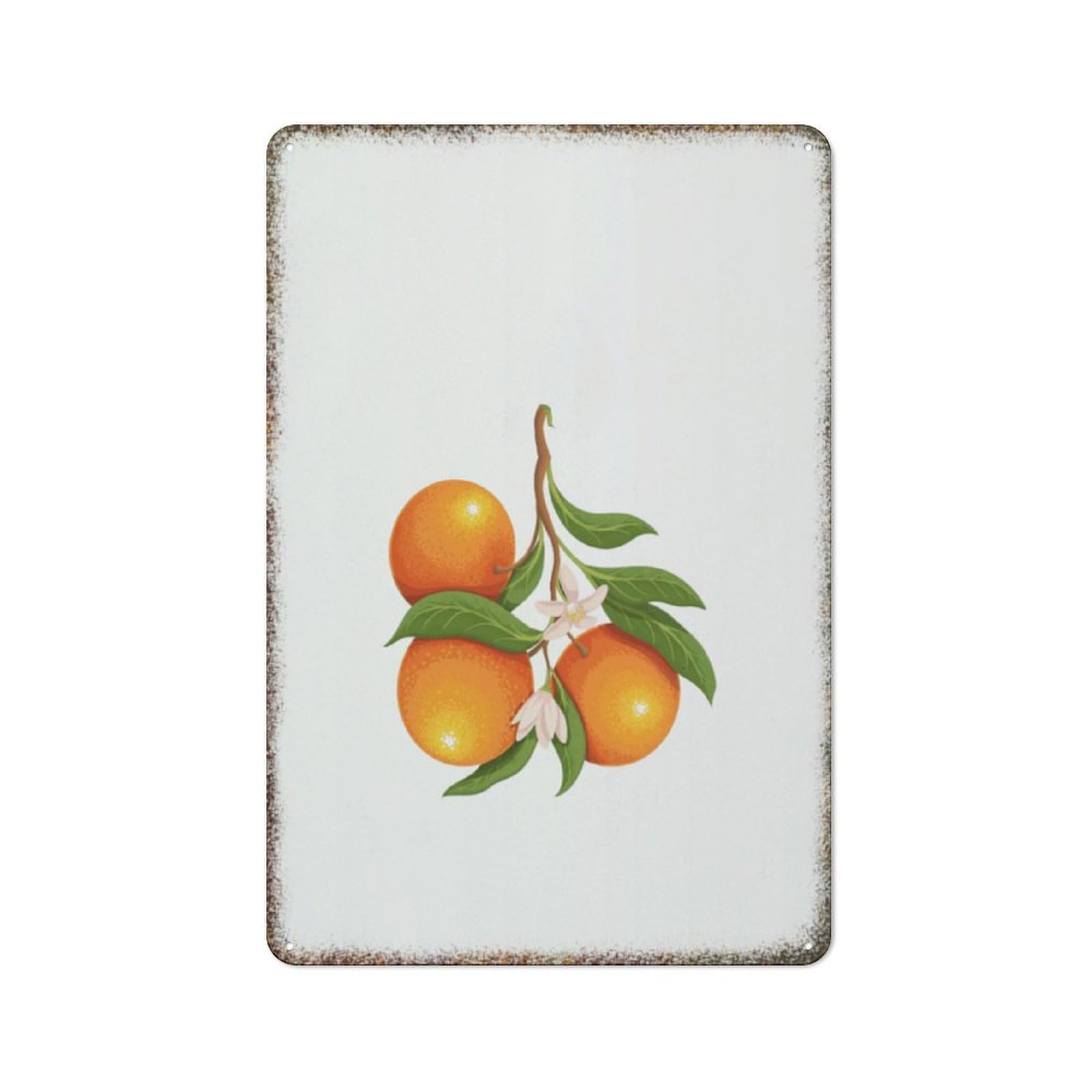 Baby Orange Fruit Citrus Print Nursery Home Kitchen Retro Metal Wall Sign 8x12 inch