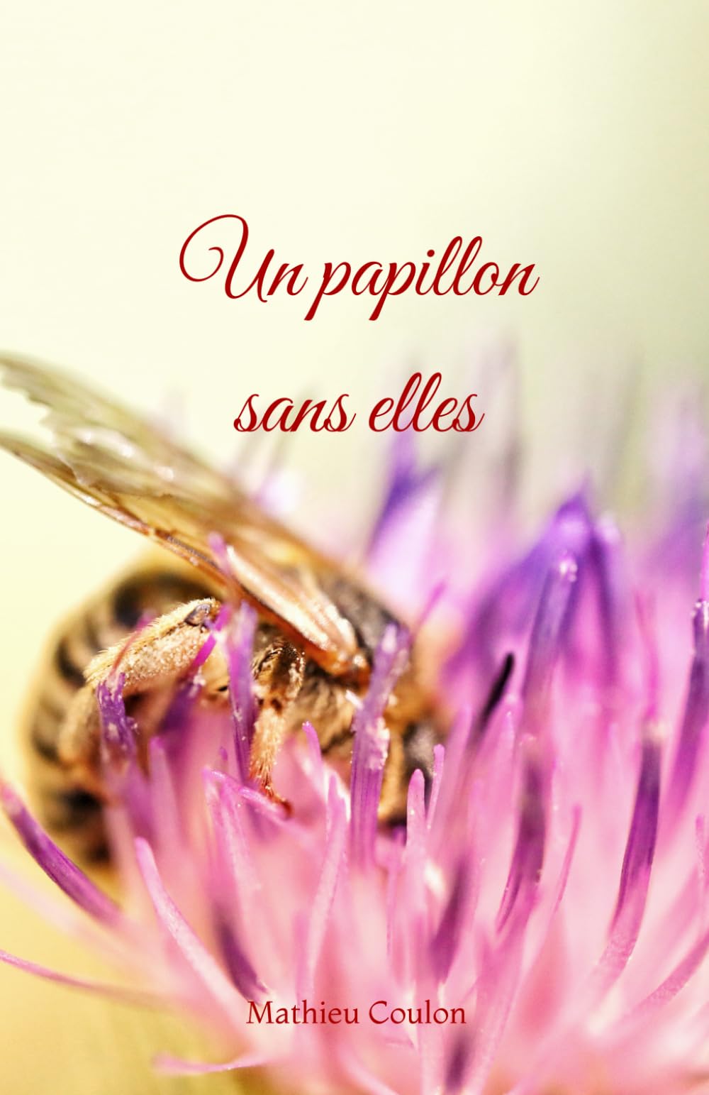 Un papillon sans elles