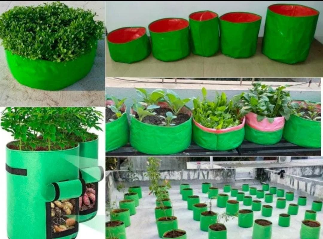 VA Hydroponics Solution HDPE UV Protected Plant Grow Bags || Round Green Colour Plant Bags || Suitable for Terrace and Vegetable || Gardening Bags Size 9"x9" HDPE Grow Bags (Pack of 5) (B0C577D6PD) Amazon Price History, Amazon Price Tracker