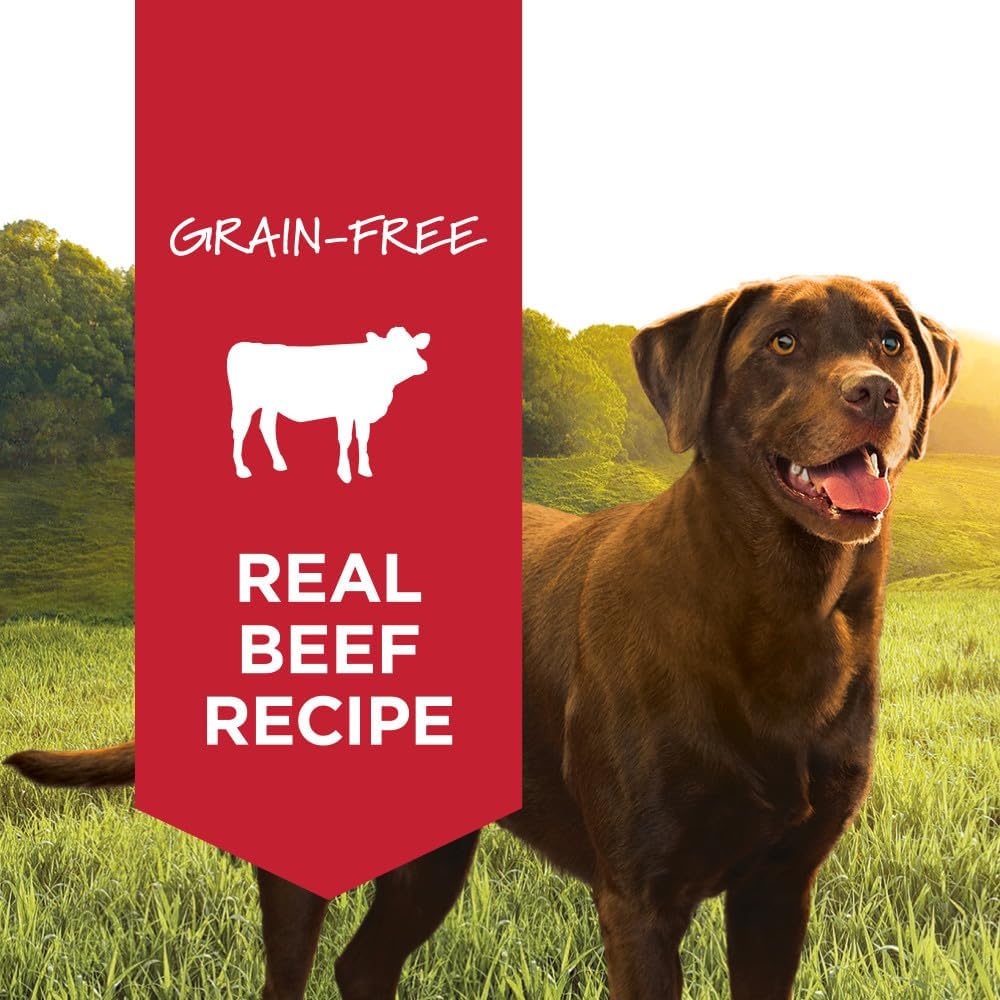 Instinct Original Wet Dog Food,Grain Free Recipe - Real Beef,13.2 Ounce,(Pack of 12)