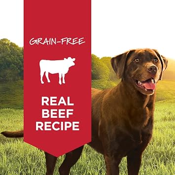Instinct Original Wet Canned Dog Food, Real Beef, 13.2 oz. (6 Count) | Delicious loaf texture, 95% beef & liver, 5% vegetables, fruits & other wholesome ingredients, grain-free
