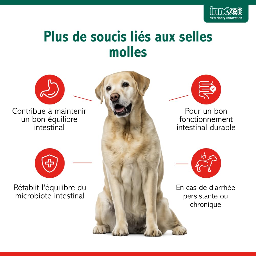 Innovet Normalia Extra Digestion Santé Intestinale pour Chien 30 comprimés