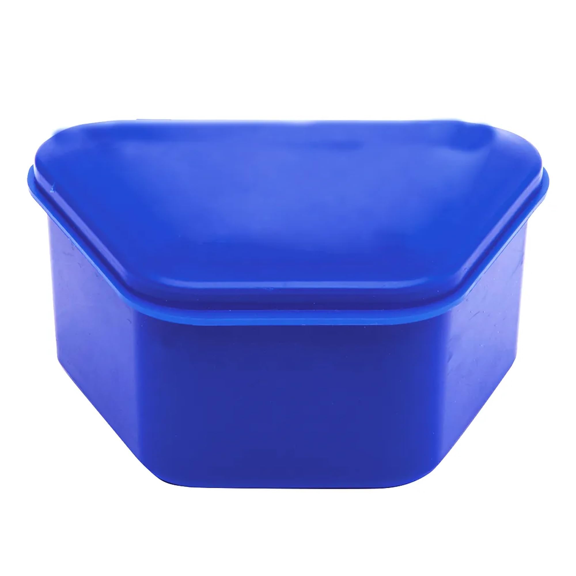 InstruDent Classic Denture Boxes – Pack of 10 | Secure Snap Closure | Ventilated & Hygienic | Storage Cases for Dentures, Mouthguards & Retainers-image-42