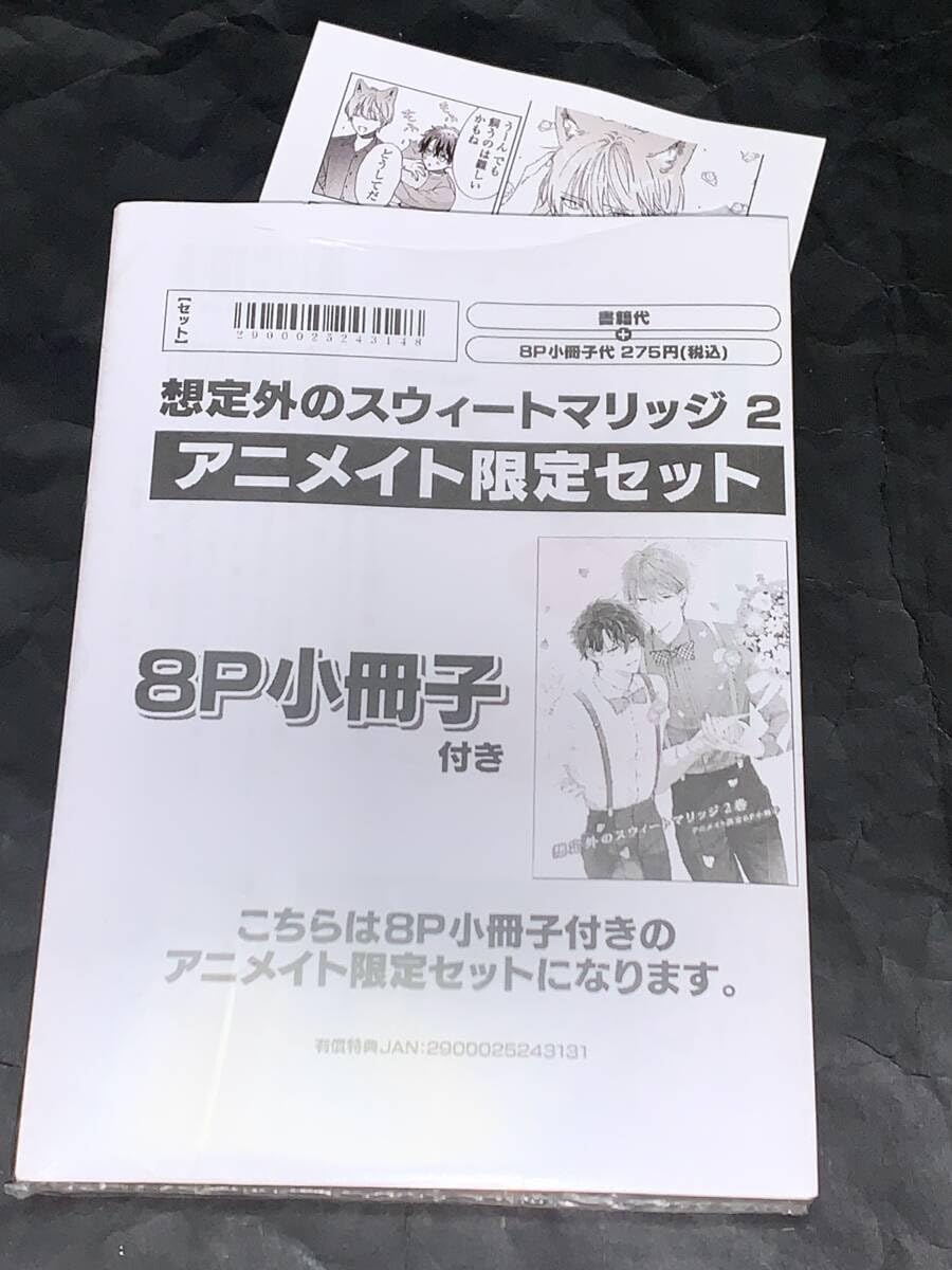 Amazon.co.jp: 想定外のスウィートマリッジ 2／佐倉リコ／新刊 