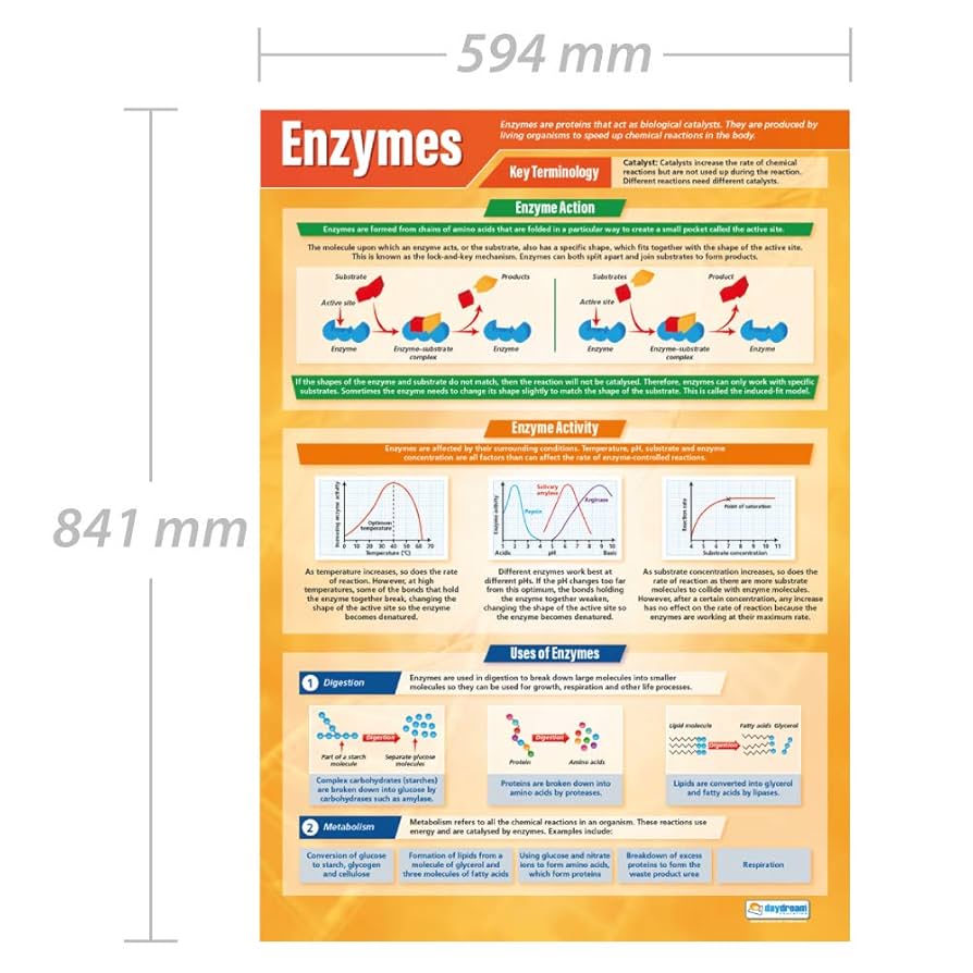 エンスサシ ポスター Amazon.co.jp: 映画ポスター テキサスチェーンソー The Texas
