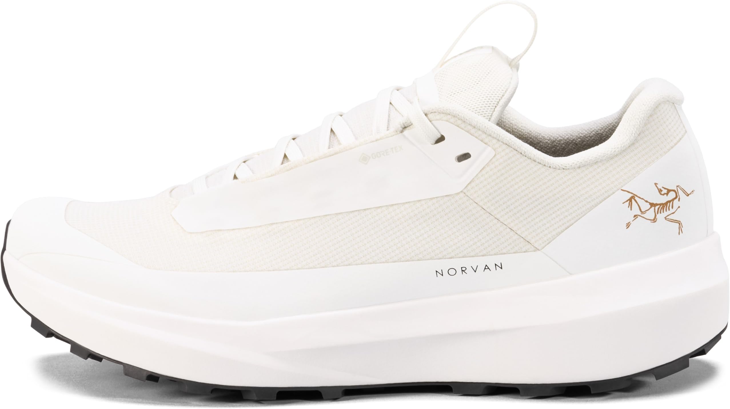 Women's Norvan LD 4 GTX Shoe