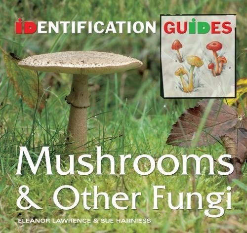 Mushrooms & Other Fungi: Identification Guide
