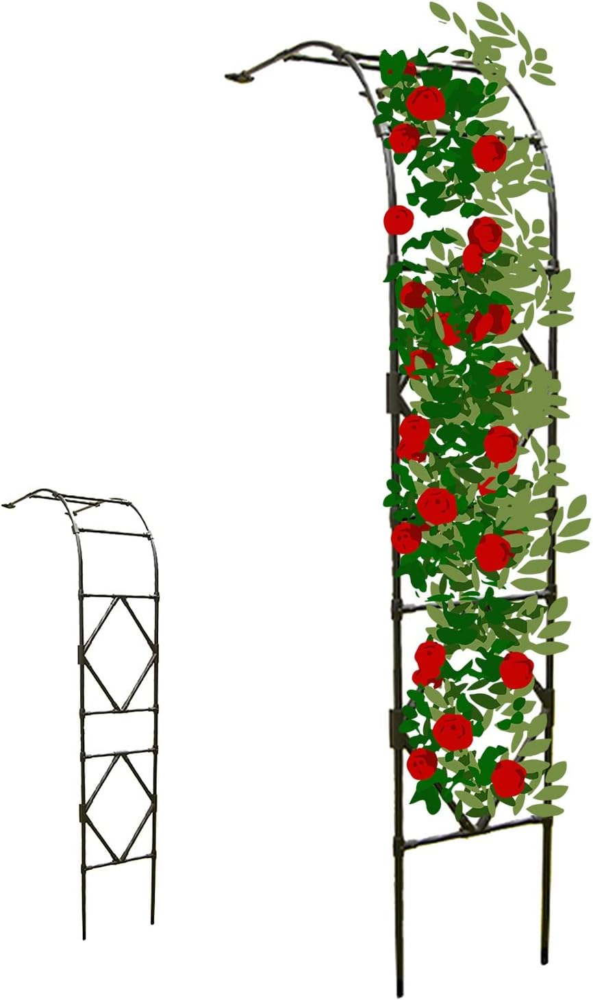 Half Side Wall-Mounted Garden Archway, Rose Arch Half-Side, Wall-mounted lattice plant climbing frame, garden/balcony/villa arched decoration 60/90/120/150/180/220/240/260/300×240×40cm ( Color : Black