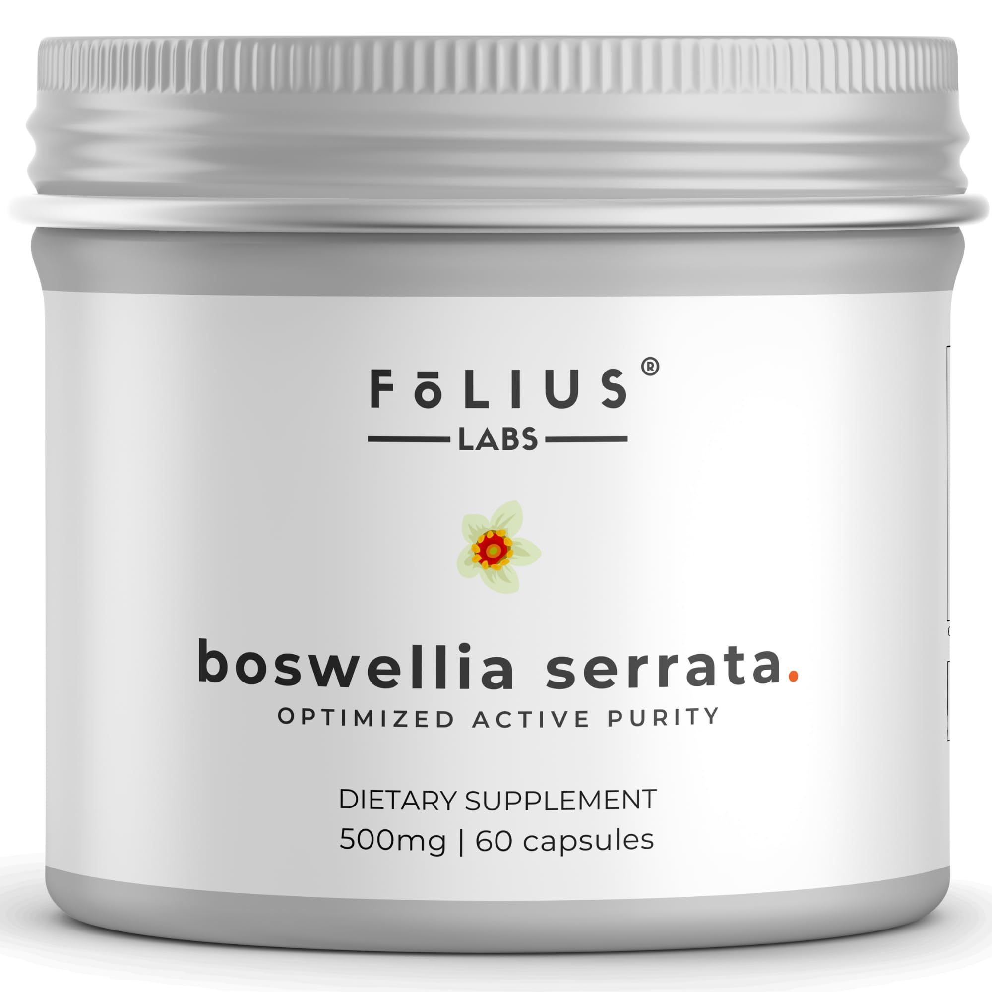 FOLIUS LABS Boswellia Serrata 65% Extract Supplement 500mg for Healthy Joint Support, Muscle Relief Support - 65% Boswellic Acids - Ayurvedic Herb extracted from Indian Olibanum/Frankincense- 60 Caps (B0D2ZYWKW6) Amazon Price History, Amazon Price Tracker
