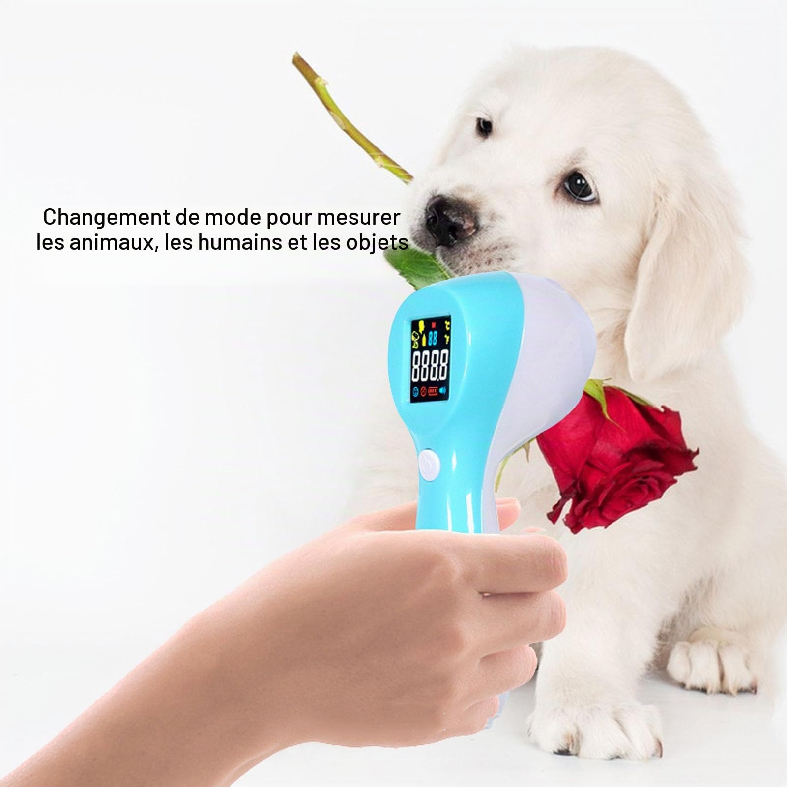Thermomètre Numérique sans pour Animaux de Compagnie, Détection Infrarouge Rapide et Précise de la Température des Animaux de Compagnie avec écran LCD Facile à Lire