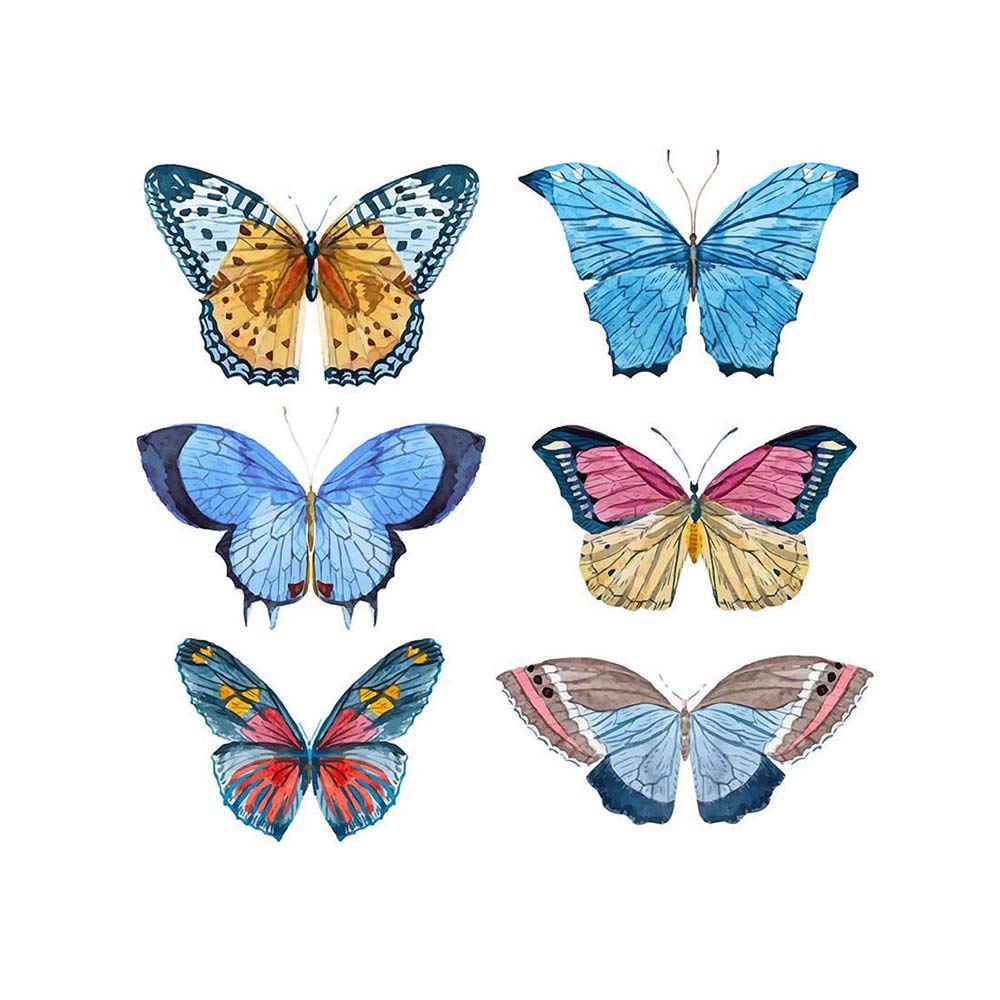 Wee Blue Coo Butterflies Watercolour Art Print Poster Wall Decor 12X16 Inch