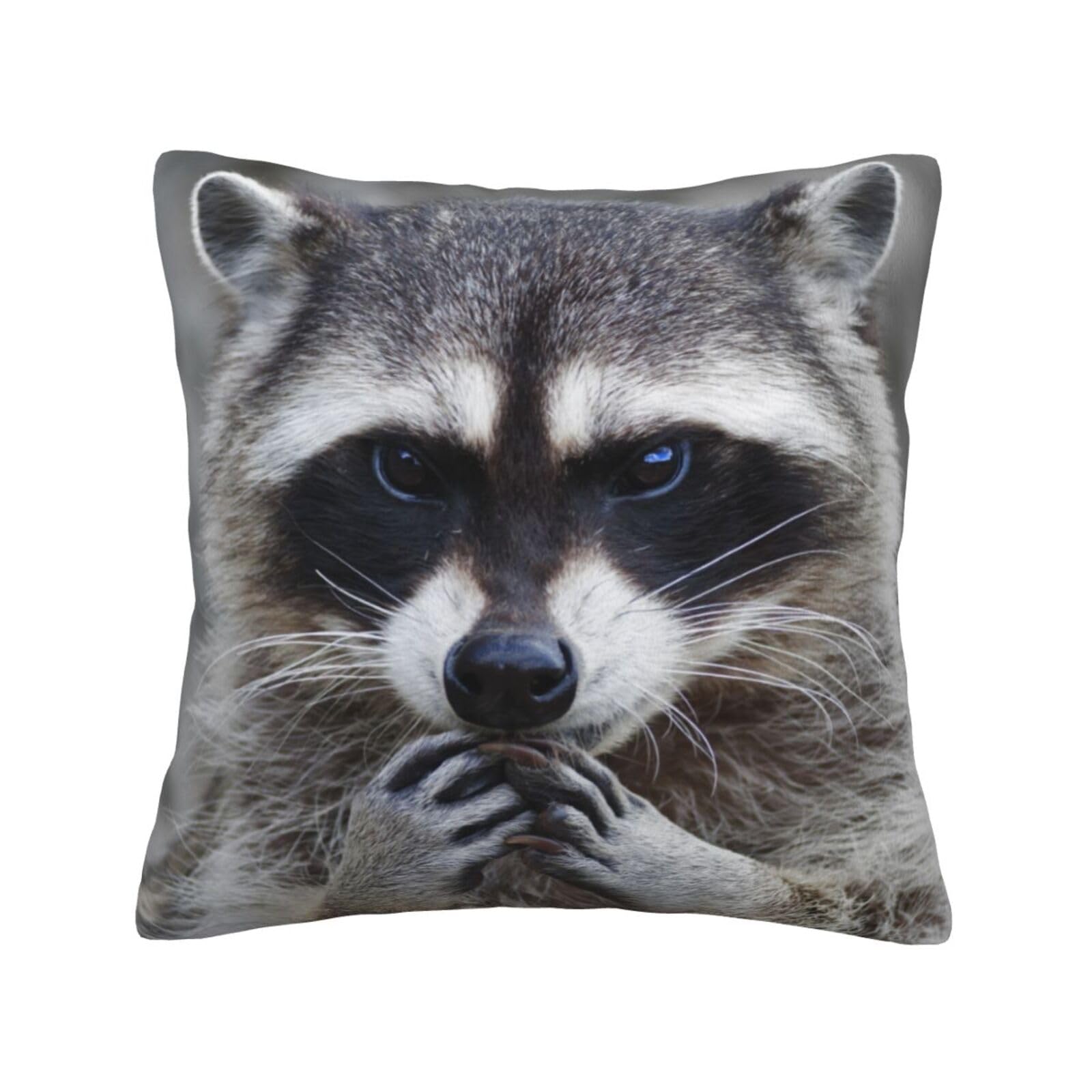 YFSGDLBN Cute Raccoon printed Velvet pillowcase decorative Cushion Cover